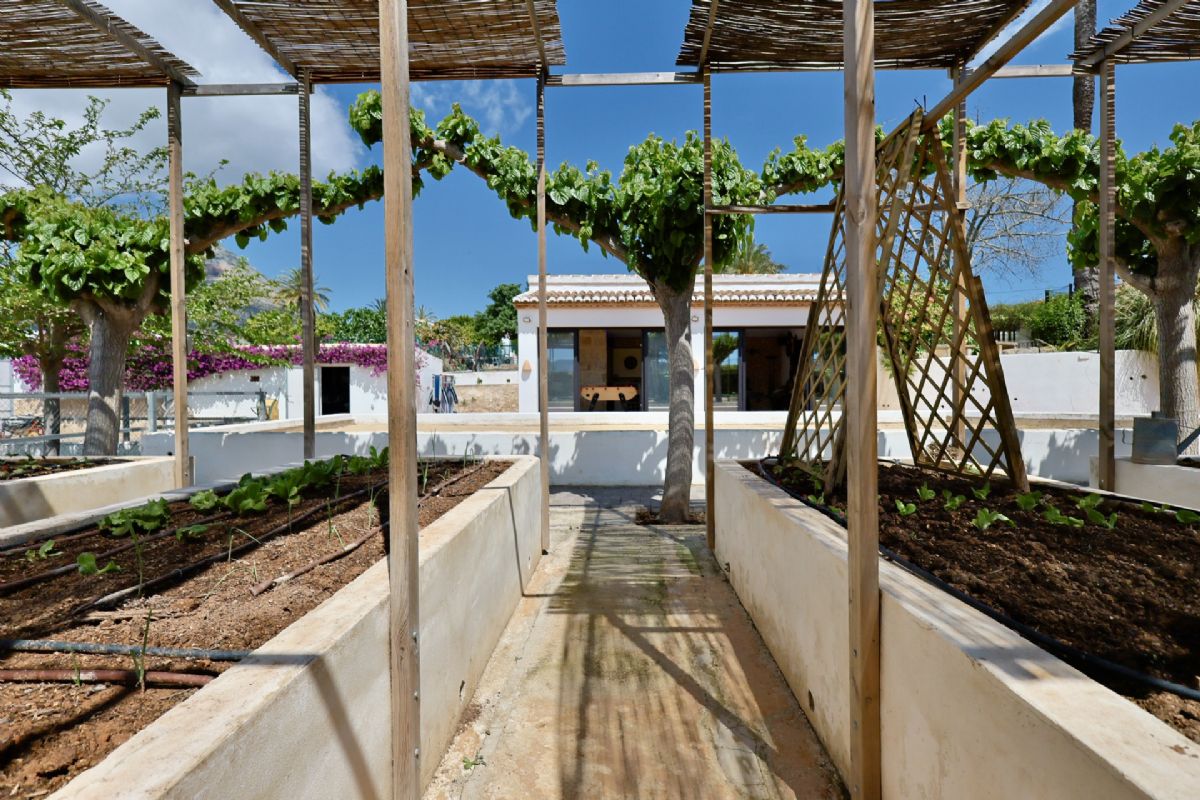 Finca con encanto mediterraneo a solo unos pasos del centro de Javea
Imagina vivir rodeado de naturaleza, con la paz del campo y la comodidad de tener todo lo que necesitas a escasos minutos.