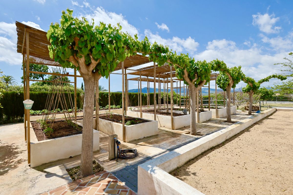 Finca con encanto mediterraneo a solo unos pasos del centro de Javea
Imagina vivir rodeado de naturaleza, con la paz del campo y la comodidad de tener todo lo que necesitas a escasos minutos.