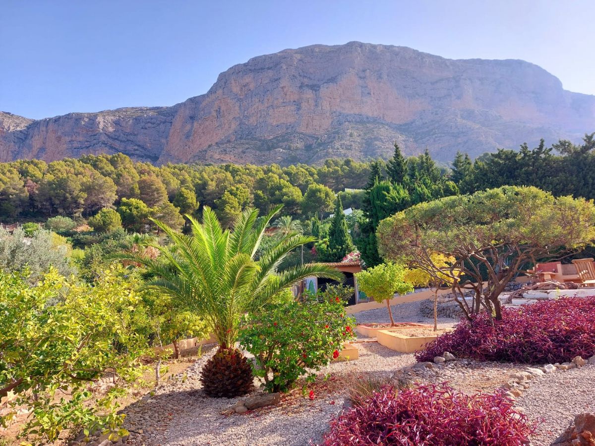 Villa en venta en Javea, ubicada en la tranquila y privilegiada zona del Montgo, un enclave
unico conocido por su microclima excepcional, con mas de 300 dias de sol al ano, inviernos
suaves y veranos agradables gracias a la proteccion natural de la montana.